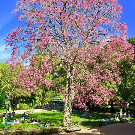 Jardim Da Estrela 리스본